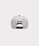 INDUSTRY PLANT 5 PANEL HAT (GREY)